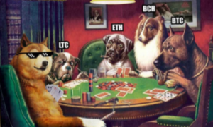 dogecoin casino partida de poker